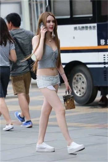 网调狗奴布置任务