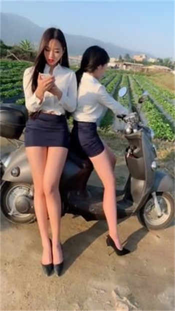 主人我是你的狗