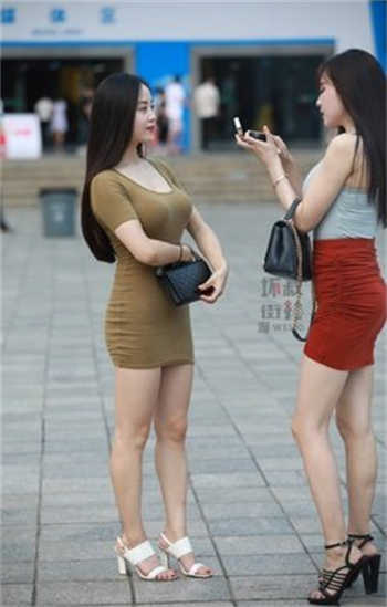 bbb866猫咪最新