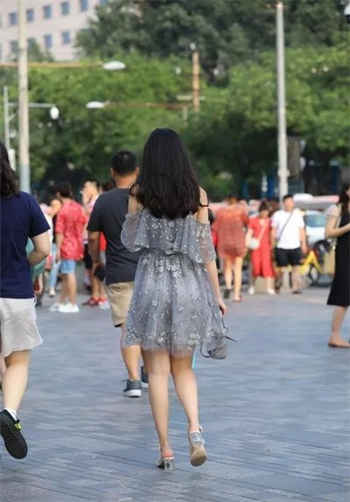 sw290图解剧情