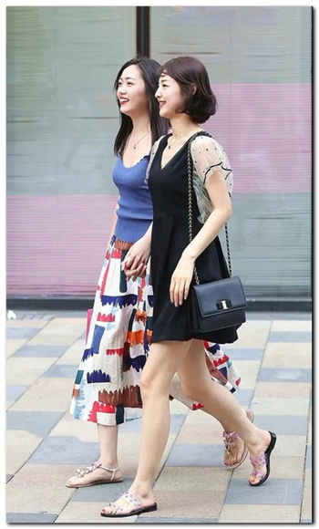 狗狗进后出不来