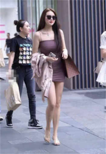 拉布拉多母犬桃子图片