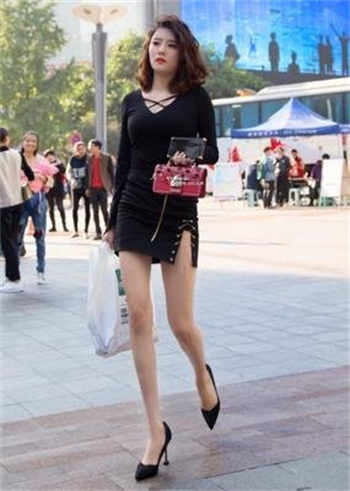 马 牛 狗和人的主要内容