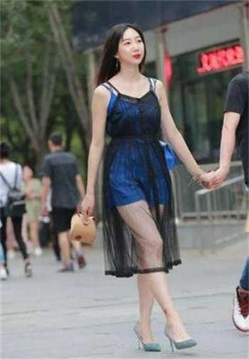 番茄app视频在线