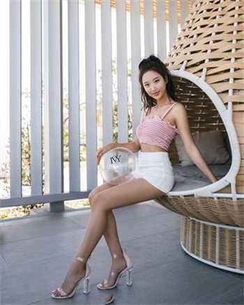 磁力狗最官网
